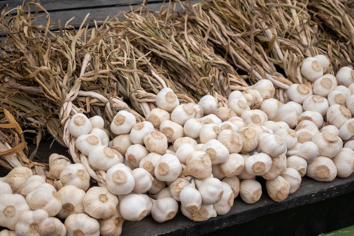 Aglio Nero Fermentato