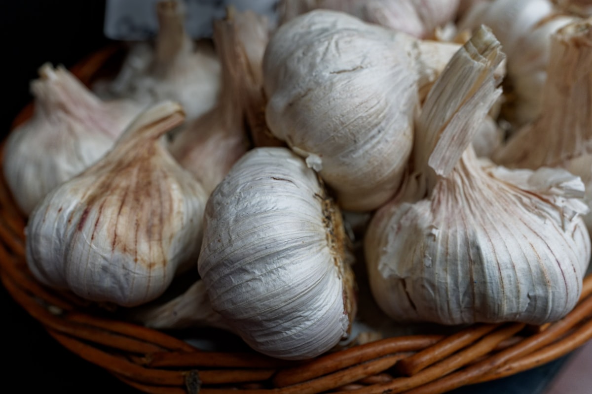 Aglio Importato dalla Spagna