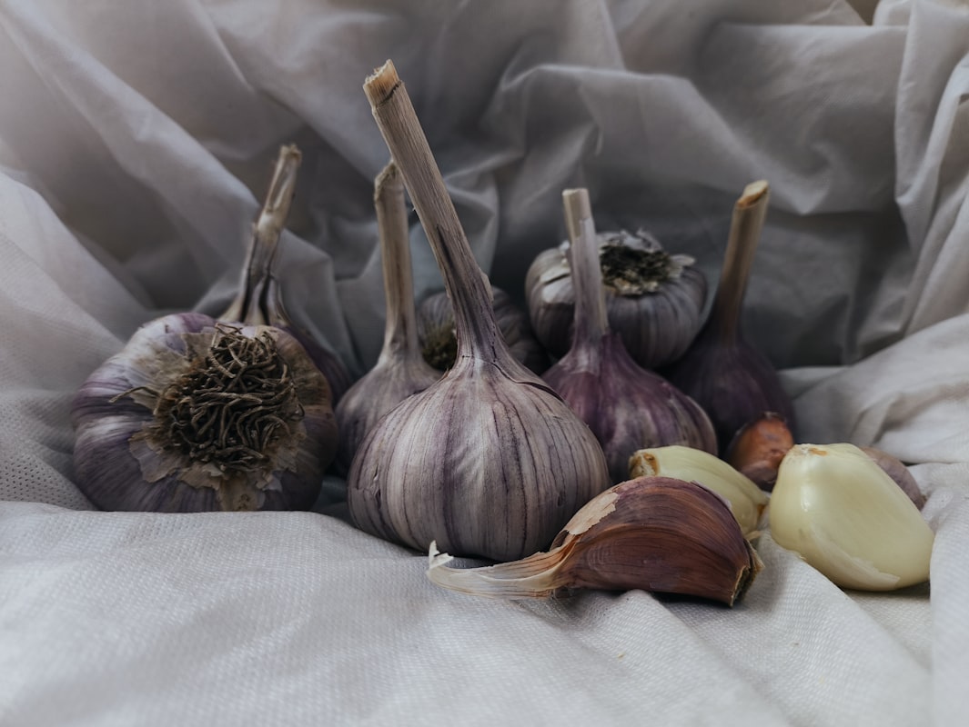 Aglio Francese Primeur